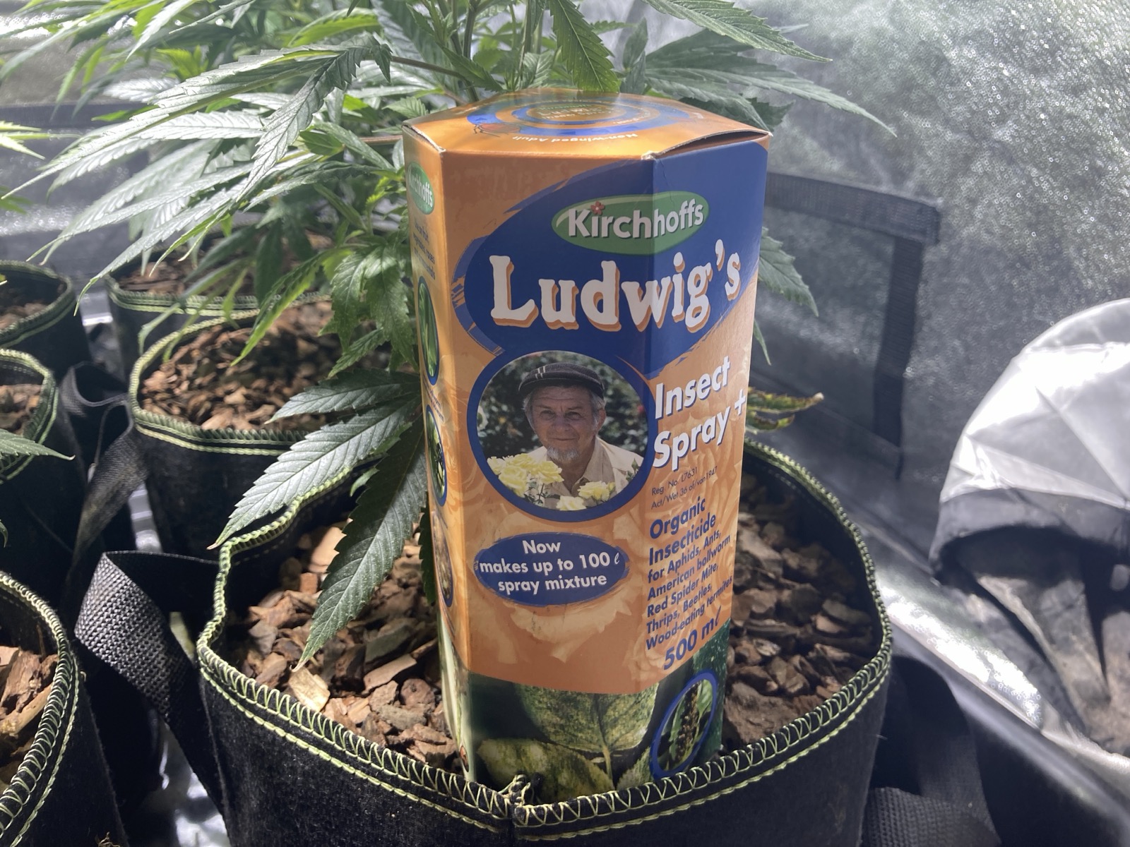 Ludwig's Insect Spray Plus
